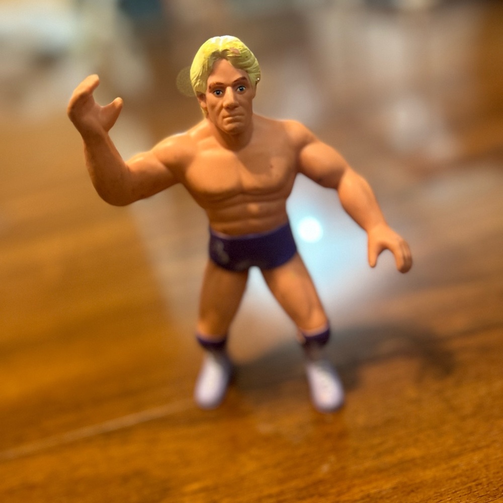 1994 Ric Flair WCW action figure